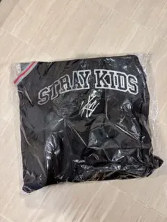 【匿名配送】STRAY KIDS アプグレ特典 新品未開封