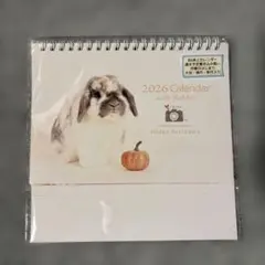 2026年　ウサギの卓上カレンダー１つ　おまけ付き