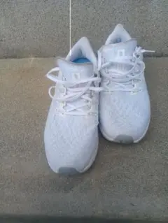 NIKEペガサス