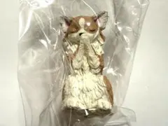 合掌 匠 〜犬拝〜 其の弐 チワワ 茶 エール YELLのサムネイル
