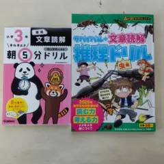 ray様 リクエスト 2点 まとめ商品