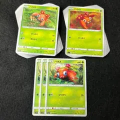 Q16 パラス 40枚 (25/12/3)