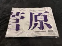 Item thumbnail for item 936f4b12-db19-45d5-8ee5-cbdd660233ee