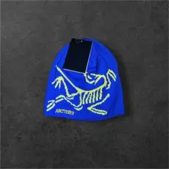 y2k archive bird logo beanie blue cap F