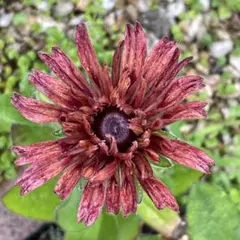 ぴょこたん様 リクエスト 2点 まとめ商品