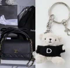 Darich ダーリッチ ノベルティ 2WAYフラップスクエアバッグ