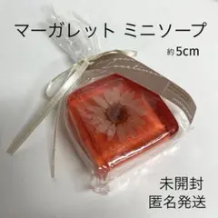 Item thumbnail for item 2bcbd188-3055-4ff3-984e-f1398e72f351