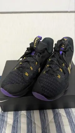 レブロン バスケットボール