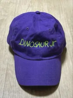 2026年最新】ダイナソーjr キャップの人気アイテム - メルカリ