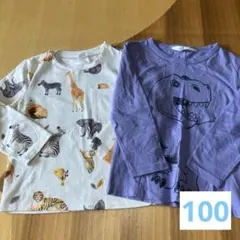 100 ロンT 長袖　動物　恐竜