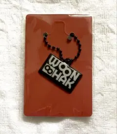 BOYNEXTDOOR THE ACTION ウナク PVCキーホルダー