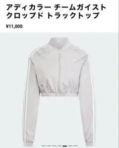 アディカラー　チームガイストクロップドトラックドトップ