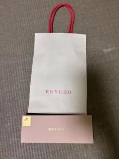 KOYUDO メイクブラシセット 2本入り