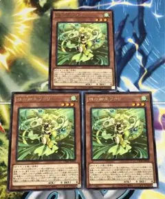 遊戯王カード 珠の御巫フゥリ 3枚