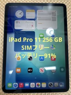 iPad Pro 11 256 GB スペースグレイSIMフリーMU102J/A