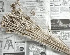 perohinako様 リクエスト 3点 まとめ商品