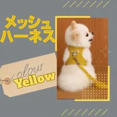 メッシュハーネス 黄色 リード付き 小型犬 猫 小動物 S かわいい