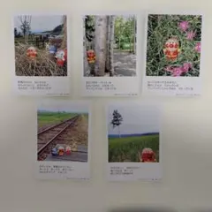 アンパンマン　ポストカード　５枚セット