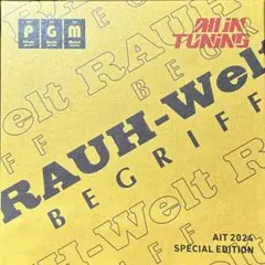 ꫛꫀꪝ✧˚꧁PGM-RAUHWelt꧂RWB 930