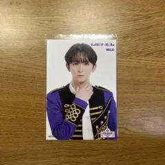 Lienel　高岡ミロ　写真