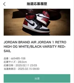 28cm AIR JORDAN 1 RETRO HIGH OG