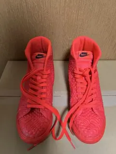 Item thumbnail for item 29afa00e-b130-4fda-bda9-a50666f491f1