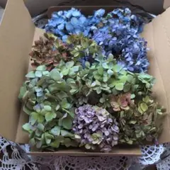 紫陽花ドライフラワー花材 12 - メルカリ