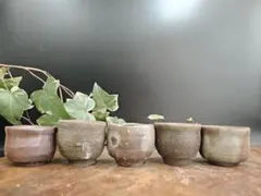 備前焼 ぐい呑み 酒盃 杯子 5客セット｜無釉 窯変 酒器・湯呑A034