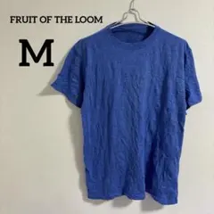 FRUIT OF THE LOOM 青 半袖 Tシャツ シンプル カジュアル