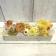 pochi様 リクエスト 2点 まとめ商品