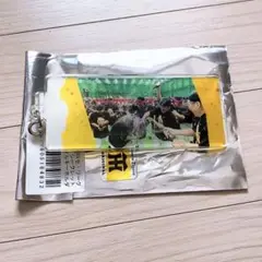 阪神 タイガース グッズ 野球 シークレット アクリルキーホルダー