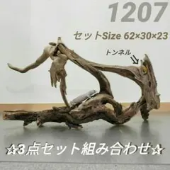 【1207⑤】流木3点セット 爬虫類シェルター 登り木 テラリウム レイアウト