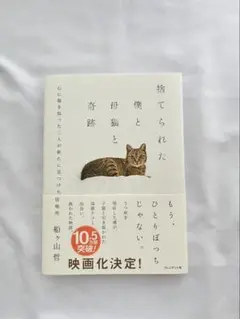 捨てられた僕と母猫と奇跡 : 心に傷を負った二人が新たに見つけた居場所