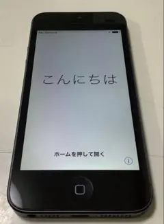 Apple iPhone5 本体 ブラック 64GB