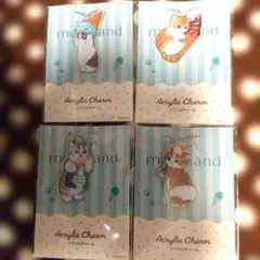 モフサンド アクリルチャーム