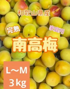 和歌山県産 完熟南高梅‼️L〜M混合‼️3kg みかんキング 家庭用 - メルカリ