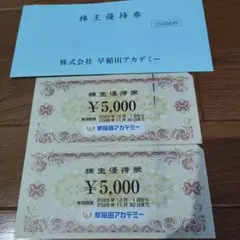 早稲田アカデミー株主優待券　10000円分　最安値