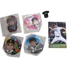 即購入⭕️ ソフトバンクホークス　スチュワート投手　若鷹ガチャ　缶バッジ　カード