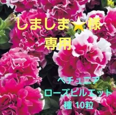 しましま⭐様 リクエスト 5点 まとめ商品