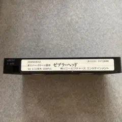 ZEBRAHEAD ゼブラ・ヘッド　サンプル版 VHSテープ