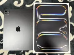 バッテリー100% 美品 iPad Pro M5 256G WIFI - メルカリ