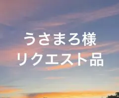 うさまろ様 リクエスト 2点 まとめ商品
