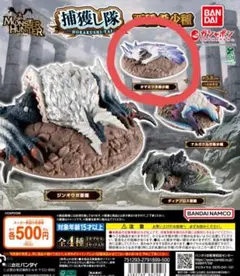 2026年最新】タマミツネ希少種の人気アイテム - メルカリ