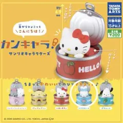 【新品•未使用】 カンキャラ! サンリオキャラクターズ シナモロール