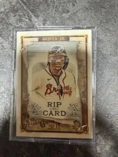 2026年最新】アクーニャJr toppsの人気アイテム - メルカリ