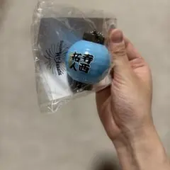新品未開封】timelesz 菊池風磨 光るちょうちんキーホルダー