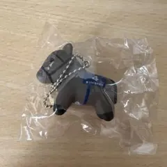 2025年最新】バブルガムフェローの人気アイテム - メルカリ