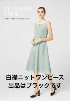 2025年最新】foxey 白襟 ワンピースの人気アイテム - メルカリ