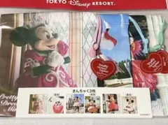東京ディズニーリゾート トータリーミニーマウス きんちゃく3枚④