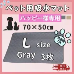 Item thumbnail for item 4089492d-1b6e-421e-9d20-4ec873bc0455